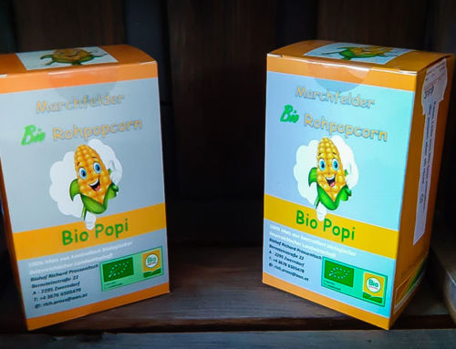 Bio Rohpopcorn